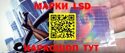 спайс Баксан