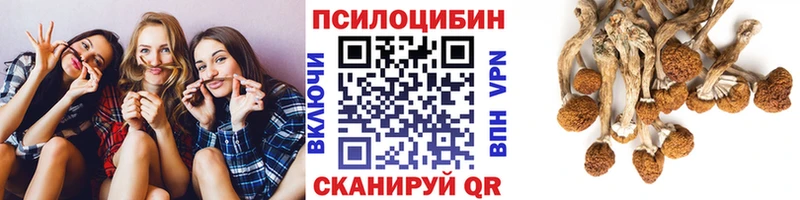 Псилоцибиновые грибы MAGIC MUSHROOMS  Большой Камень 